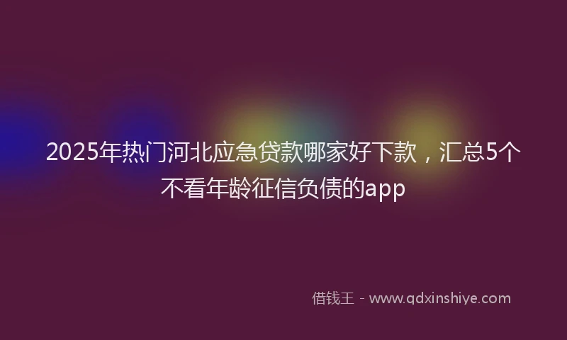 2025年热门河北应急贷款哪家好下款，汇总5个不看年龄征信负债的app