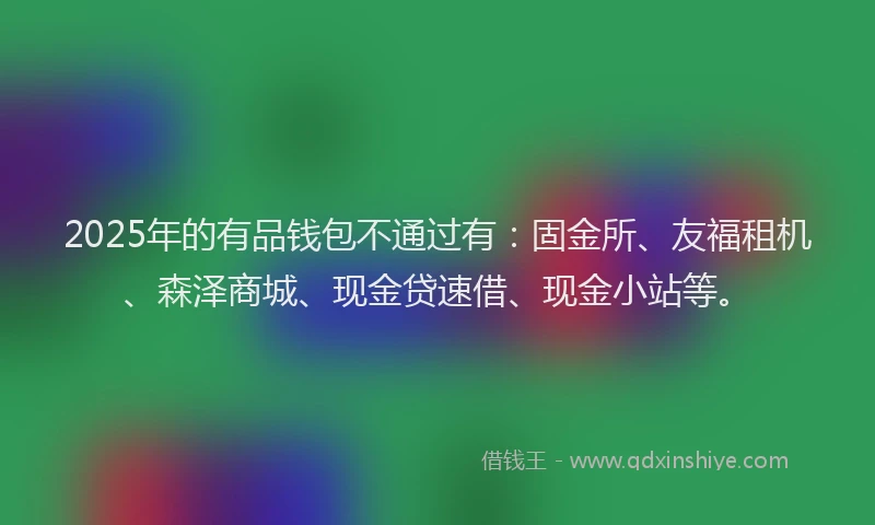 2025年的有品钱包不通过有：固金所、友福租机、森泽商城、现金贷速借、现金小站等。