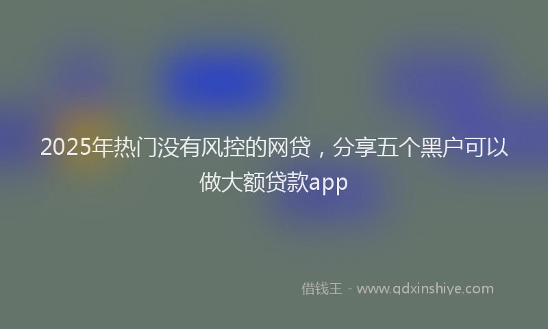 2025年热门没有风控的网贷，分享五个黑户可以做大额贷款app