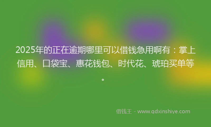 2025年的正在逾期哪里可以借钱急用啊有：掌上信用、口袋宝、惠花钱包、时代花、琥珀买单等。