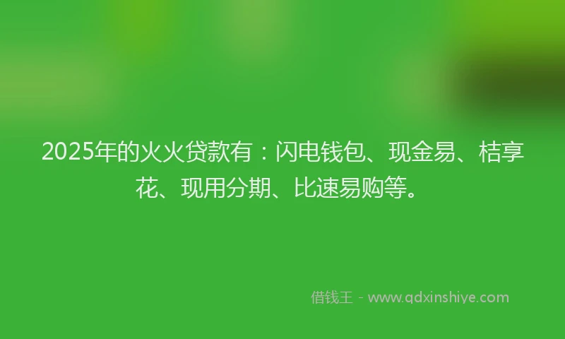 2025年的火火贷款有：闪电钱包、现金易、桔享花、现用分期、比速易购等。