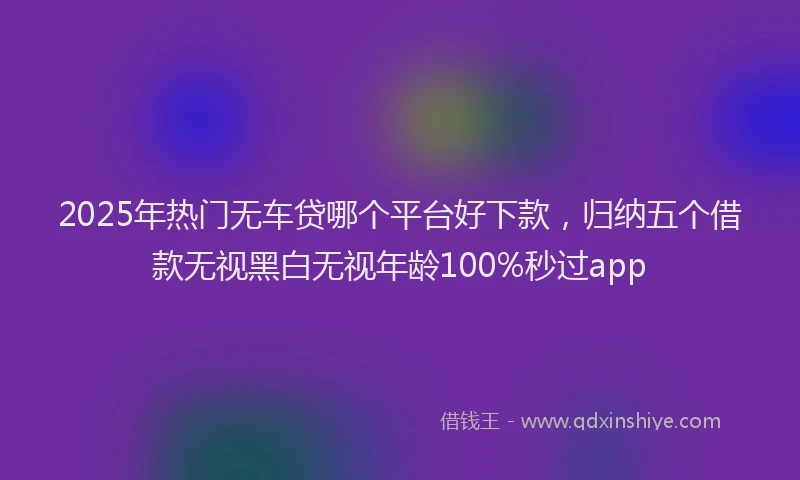 2025年热门无车贷哪个平台好下款，归纳五个借款无视黑白无视年龄100%秒过app
