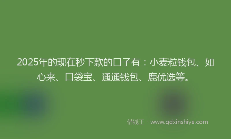 2025年的现在秒下款的口子有：小麦粒钱包、如心来、口袋宝、通通钱包、鹿优选等。