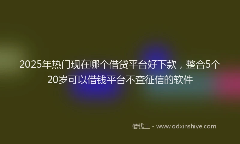 2025年热门现在哪个借贷平台好下款，整合5个20岁可以借钱平台不查征信的软件