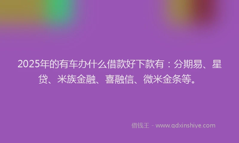 2025年的有车办什么借款好下款有：分期易、星贷、米族金融、喜融信、微米金条等。