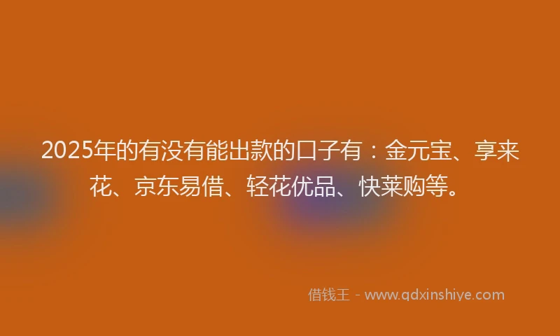 2025年的有没有能出款的口子有：金元宝、享来花、京东易借、轻花优品、快莱购等。
