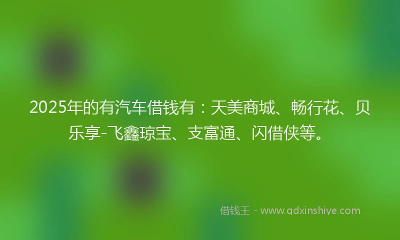 2025年的有汽车借钱有：天美商城、畅行花、贝乐享-飞鑫琼宝、支富通、闪借侠等。