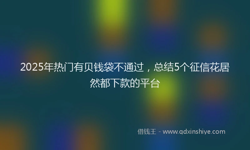 2025年热门有贝钱袋不通过，总结5个征信花居然都下款的平台