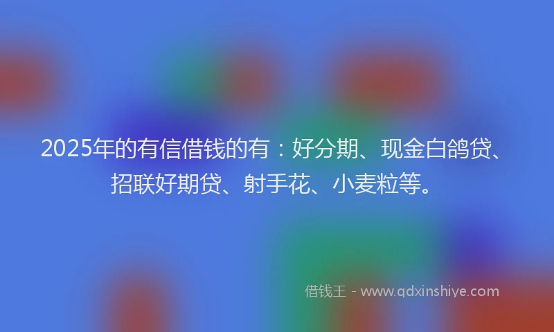 2025年的有信借钱的有：好分期、现金白鸽贷、招联好期贷、射手花、小麦粒等。