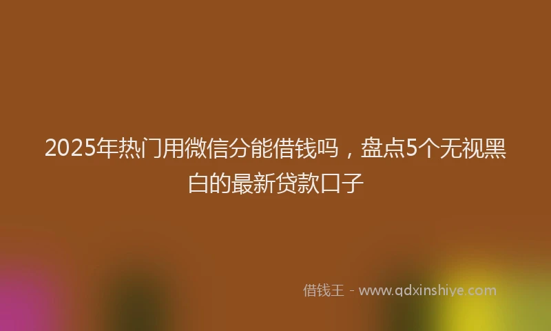 2025年热门用微信分能借钱吗，盘点5个无视黑白的最新贷款口子