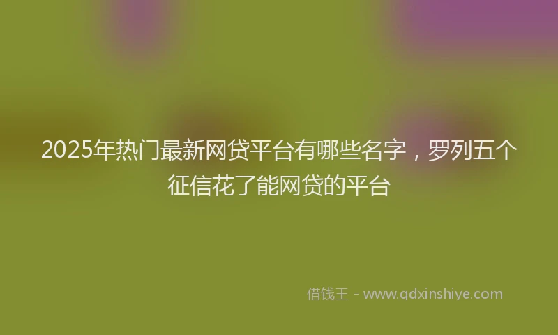 2025年热门最新网贷平台有哪些名字，罗列五个征信花了能网贷的平台