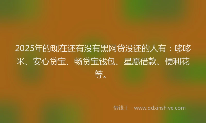 2025年的现在还有没有黑网贷没还的人有：哆哆米、安心贷宝、畅贷宝钱包、星愿借款、便利花等。