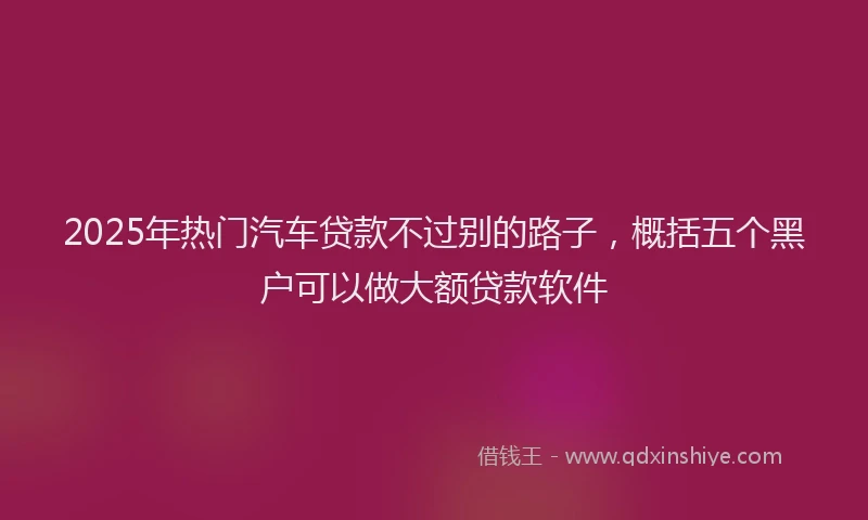 2025年热门汽车贷款不过别的路子，概括五个黑户可以做大额贷款软件