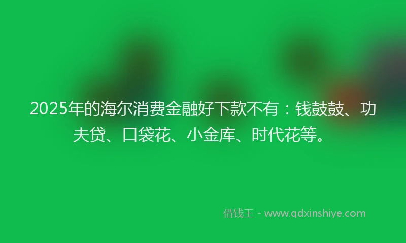 2025年的海尔消费金融好下款不有：钱鼓鼓、功夫贷、口袋花、小金库、时代花等。