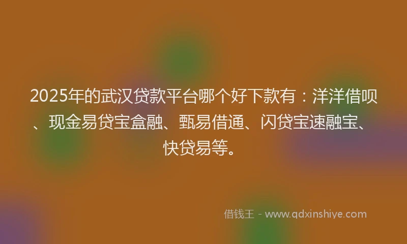 2025年的武汉贷款平台哪个好下款有：洋洋借呗、现金易贷宝盒融、甄易借通、闪贷宝速融宝、快贷易等。