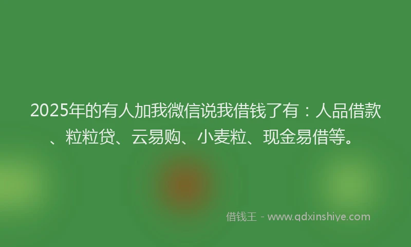 2025年的有人加我微信说我借钱了有：人品借款、粒粒贷、云易购、小麦粒、现金易借等。