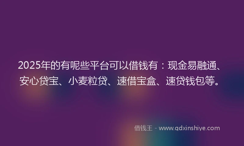 2025年的有呢些平台可以借钱有：现金易融通、安心贷宝、小麦粒贷、速借宝盒、速贷钱包等。