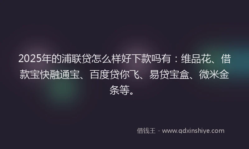 2025年的浦联贷怎么样好下款吗有：维品花、借款宝快融通宝、百度贷你飞、易贷宝盒、微米金条等。