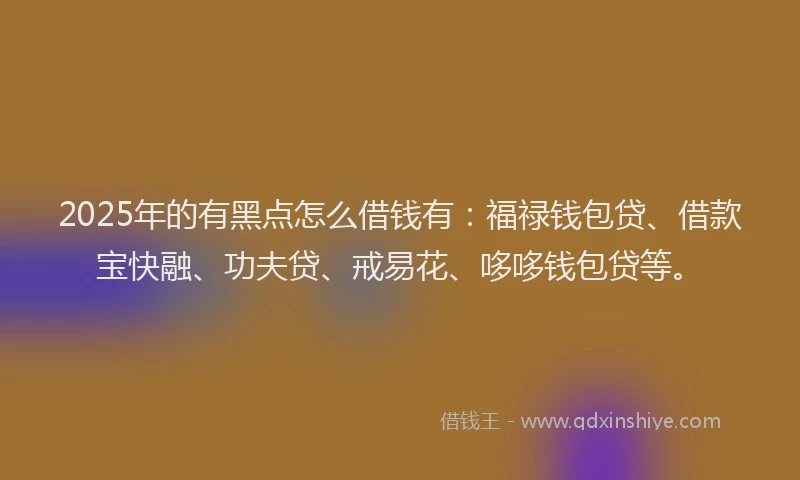 2025年的有黑点怎么借钱有：福禄钱包贷、借款宝快融、功夫贷、戒易花、哆哆钱包贷等。