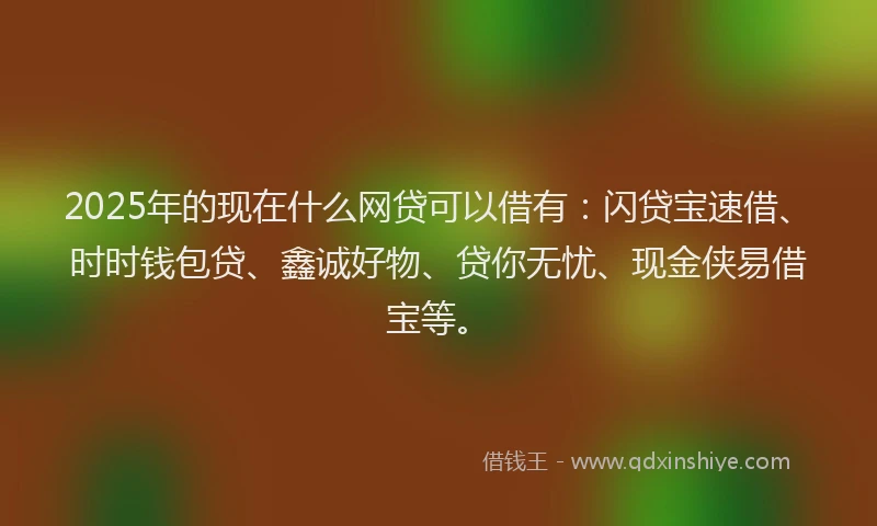 2025年的现在什么网贷可以借有：闪贷宝速借、时时钱包贷、鑫诚好物、贷你无忧、现金侠易借宝等。