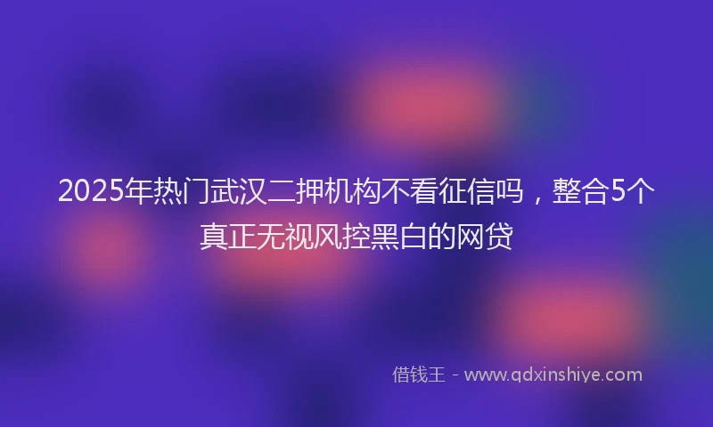 2025年热门武汉二押机构不看征信吗，整合5个真正无视风控黑白的网贷
