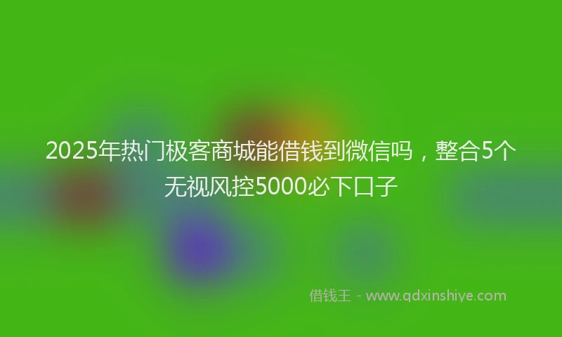 2025年热门极客商城能借钱到微信吗，整合5个无视风控5000必下口子