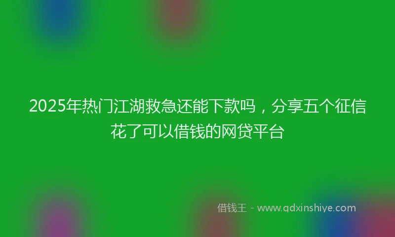 2025年热门江湖救急还能下款吗，分享五个征信花了可以借钱的网贷平台