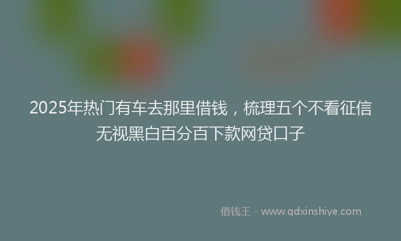 2025年热门有车去那里借钱，梳理五个不看征信无视黑白百分百下款网贷口子