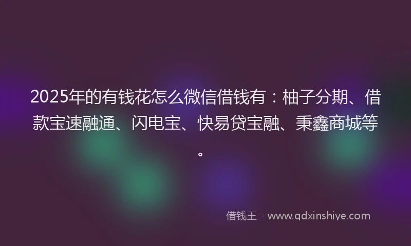 2025年的有钱花怎么微信借钱有：柚子分期、借款宝速融通、闪电宝、快易贷宝融、秉鑫商城等。