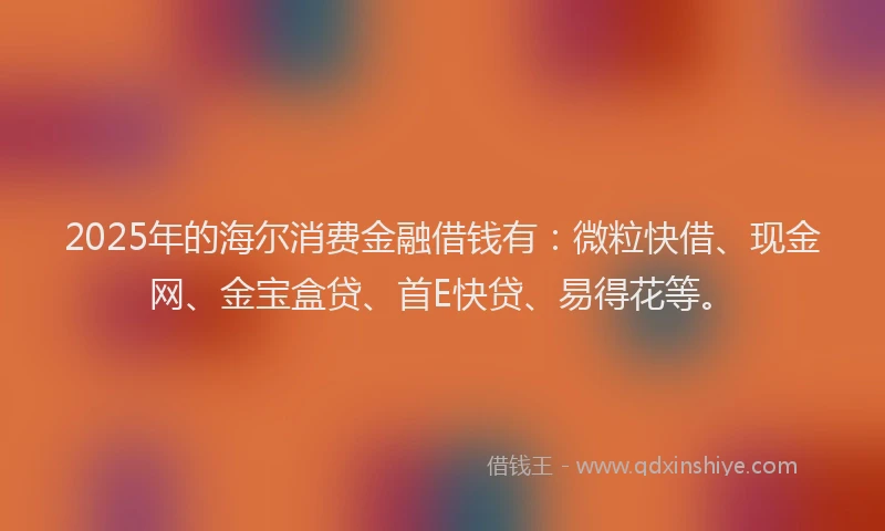 2025年的海尔消费金融借钱有：微粒快借、现金网、金宝盒贷、首E快贷、易得花等。