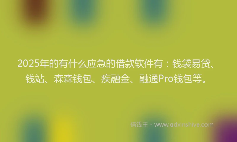 2025年的有什么应急的借款软件有：钱袋易贷、钱站、森森钱包、疾融金、融通Pro钱包等。