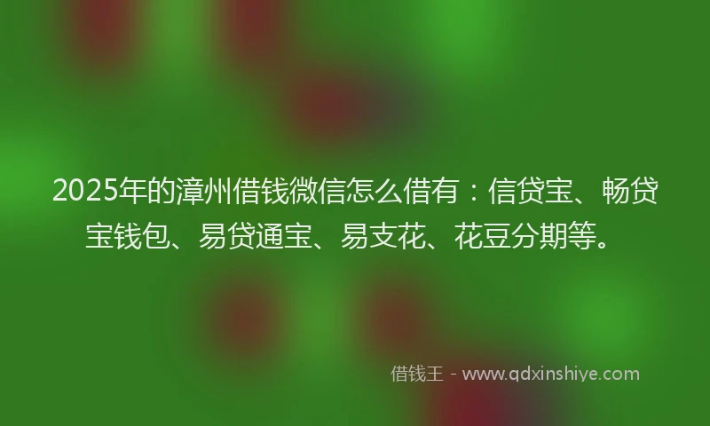 2025年的漳州借钱微信怎么借有：信贷宝、畅贷宝钱包、易贷通宝、易支花、花豆分期等。