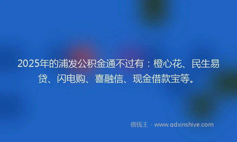 2025年的浦发公积金通不过有：橙心花、民生易贷、闪电购、喜融信、现金借款宝等。
