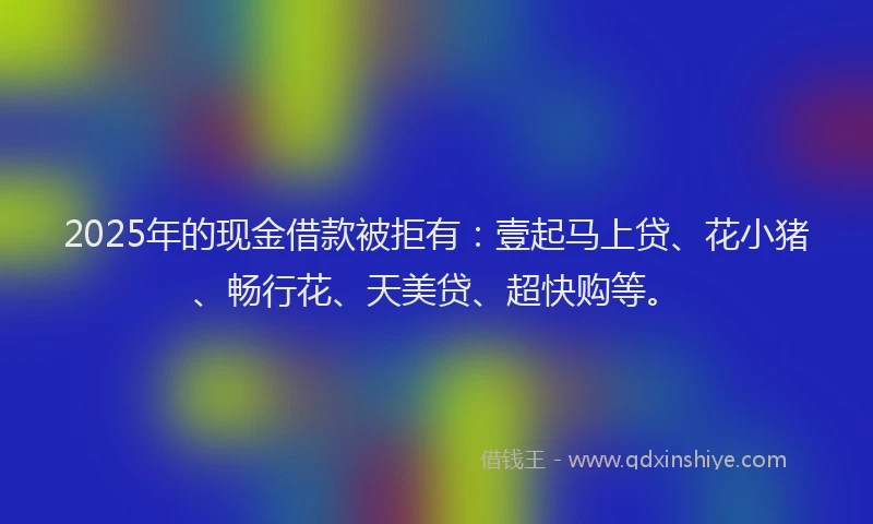 2025年的现金借款被拒有：壹起马上贷、花小猪、畅行花、天美贷、超快购等。
