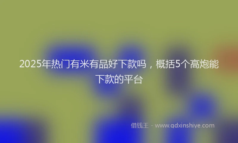 2025年热门有米有品好下款吗，概括5个高炮能下款的平台
