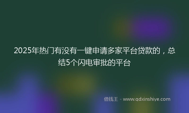 2025年热门有没有一键申请多家平台贷款的，总结5个闪电审批的平台
