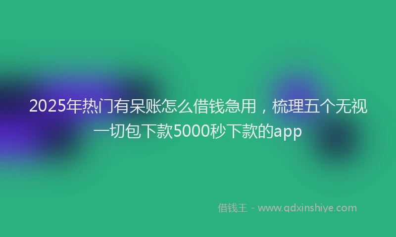 2025年热门有呆账怎么借钱急用，梳理五个无视一切包下款5000秒下款的app