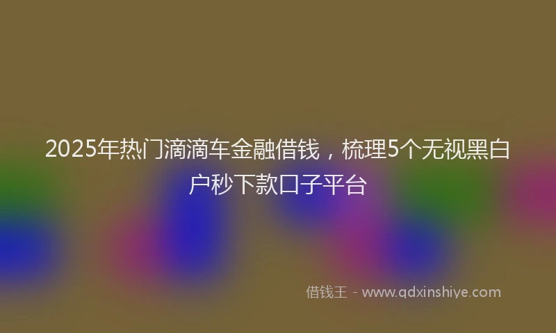 2025年热门滴滴车金融借钱，梳理5个无视黑白户秒下款口子平台
