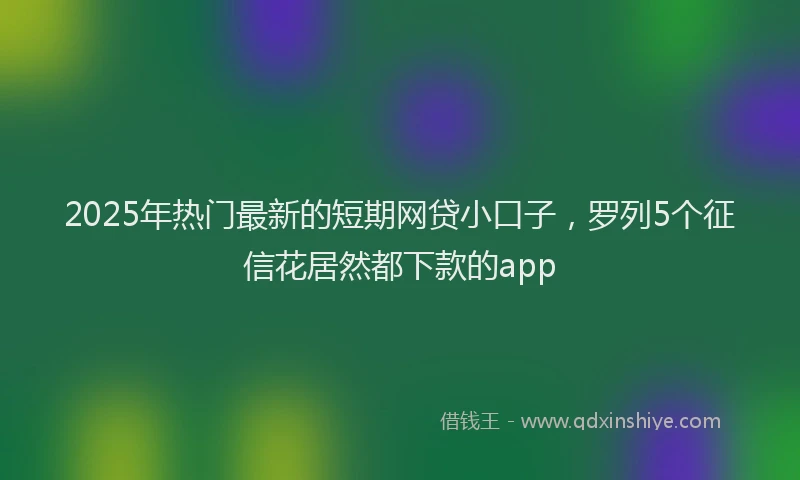 2025年热门最新的短期网贷小口子，罗列5个征信花居然都下款的app