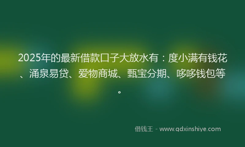 2025年的最新借款口子大放水有：度小满有钱花、涌泉易贷、爱物商城、甄宝分期、哆哆钱包等。