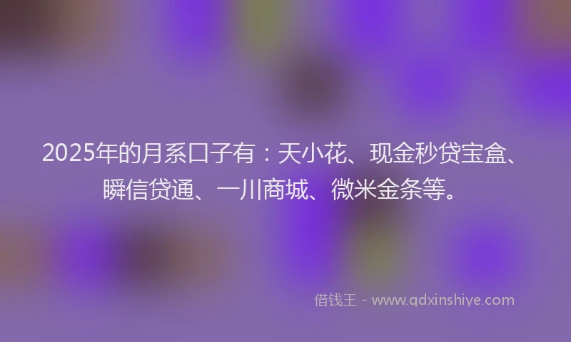 2025年的月系口子有：天小花、现金秒贷宝盒、瞬信贷通、一川商城、微米金条等。