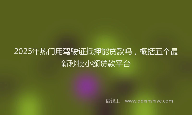 2025年热门用驾驶证抵押能贷款吗，概括五个最新秒批小额贷款平台