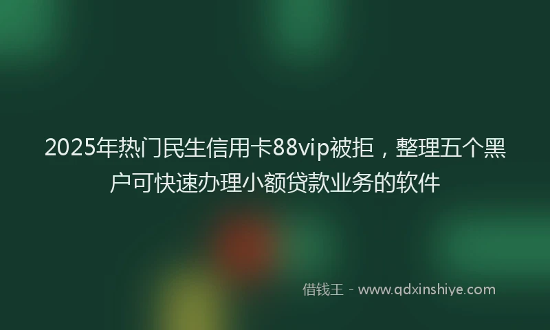 2025年热门民生信用卡88vip被拒，整理五个黑户可快速办理小额贷款业务的软件