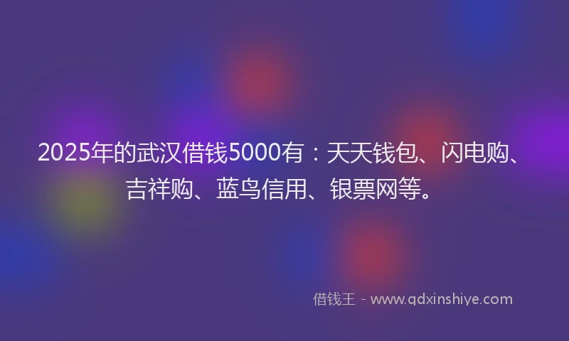 2025年的武汉借钱5000有：天天钱包、闪电购、吉祥购、蓝鸟信用、银票网等。
