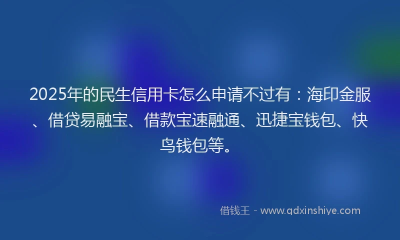 2025年的民生信用卡怎么申请不过有：海印金服、借贷易融宝、借款宝速融通、迅捷宝钱包、快鸟钱包等。