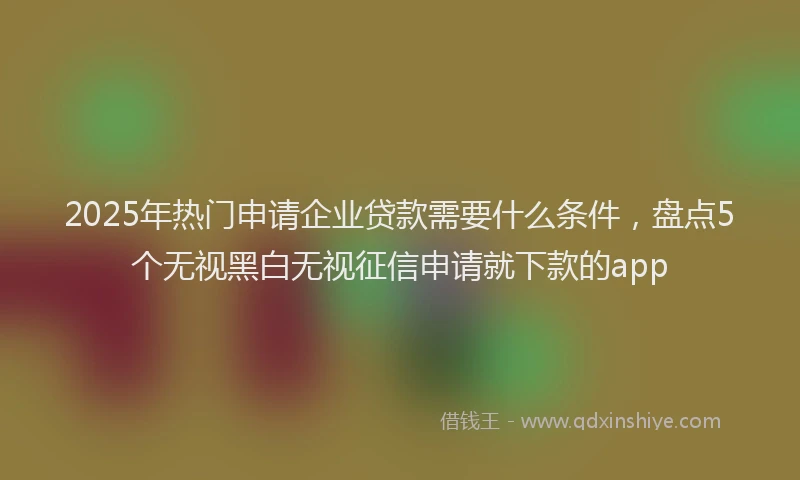 2025年热门申请企业贷款需要什么条件，盘点5个无视黑白无视征信申请就下款的app