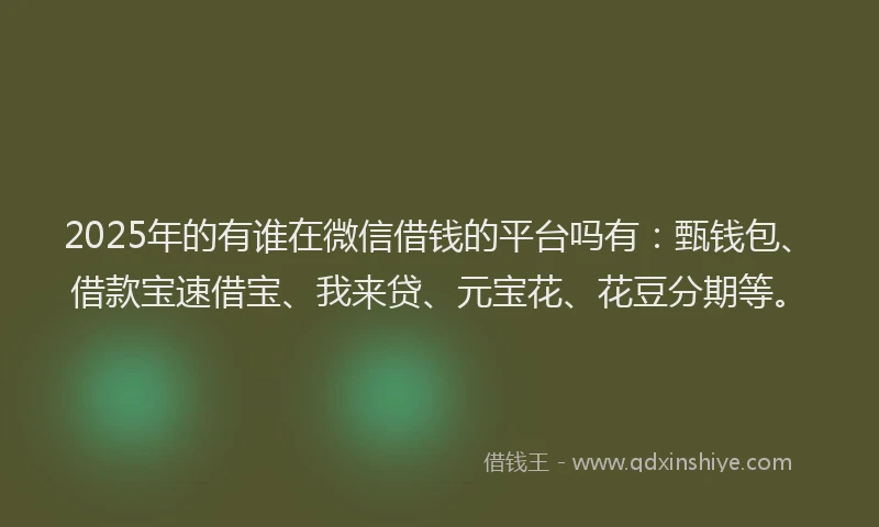 2025年的有谁在微信借钱的平台吗有：甄钱包、借款宝速借宝、我来贷、元宝花、花豆分期等。