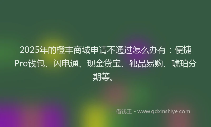 2025年的橙丰商城申请不通过怎么办有：便捷Pro钱包、闪电通、现金贷宝、独品易购、琥珀分期等。