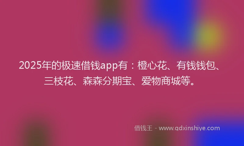 2025年的极速借钱app有：橙心花、有钱钱包、三枝花、森森分期宝、爱物商城等。