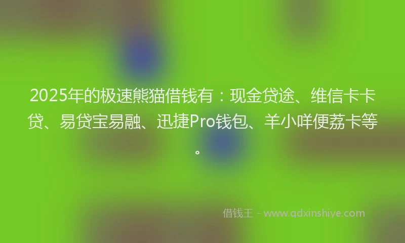 2025年的极速熊猫借钱有：现金贷途、维信卡卡贷、易贷宝易融、迅捷Pro钱包、羊小咩便荔卡等。